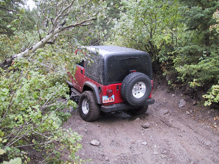 Checking the flex from the rear.