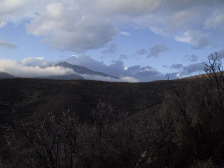 Cascade Springs Utah
