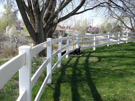 Cal and I can't stay out of the pasture