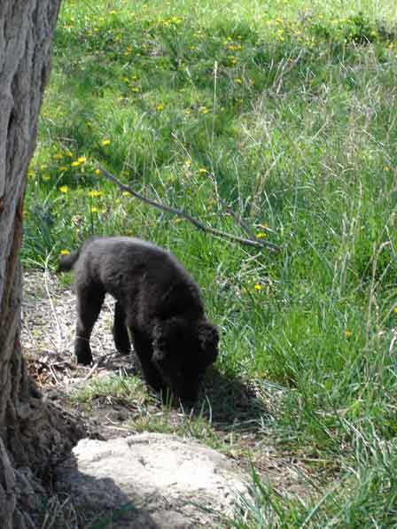 Look at me I am 23 pounds