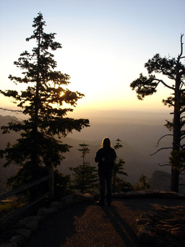 Grand Canyon at Dawn